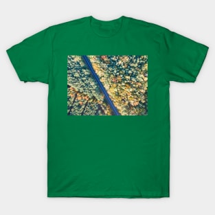 Road through colorful autumn forest T-Shirt